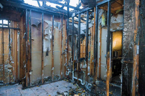 Professional Smoke Damage Removal technician working in Richwood, TX